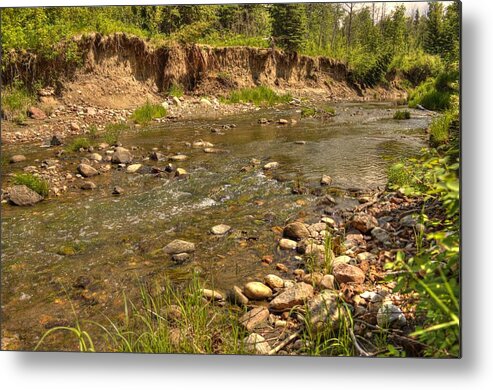 Water Metal Print featuring the photograph Summer Stream by Jim Sauchyn