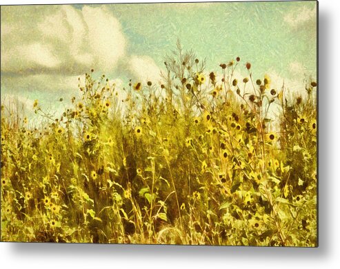 Wildflowers Metal Print featuring the photograph Summer Wildflower Impression by Ann Powell