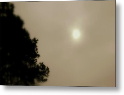 Fog Metal Print featuring the photograph Sun Battles Fog by Kathy Barney