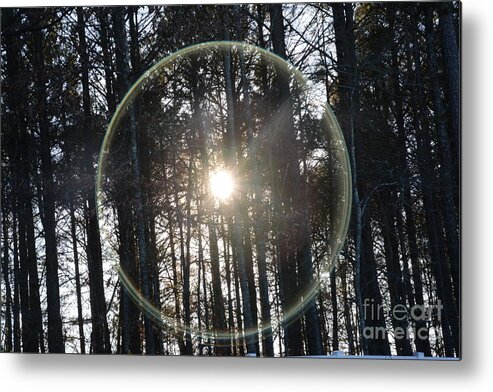 Adrian-deleon Metal Print featuring the photograph Sun or Lens Flare in between the woods -Georgia by Adrian De Leon Art and Photography