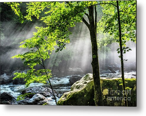 Williams River Metal Print featuring the photograph Sun Rays on Williams River by Thomas R Fletcher