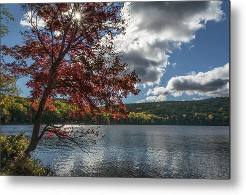 Autumn Metal Print featuring the photograph Sunburst Tree At Silvermine Lake by Angelo Marcialis