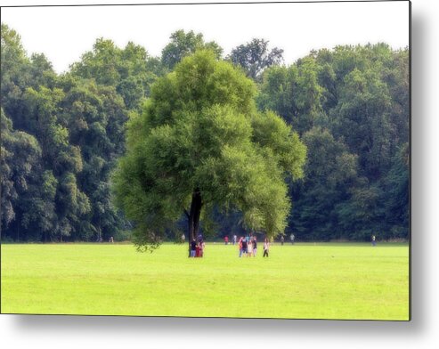 Countryscape Metal Print featuring the photograph Sunday at park by Roberto Pagani