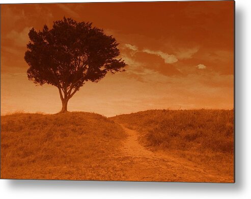 Landscape Metal Print featuring the photograph Sundown Alone by Julie Lueders 