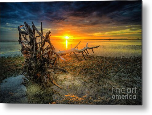 Driftwood Metal Print featuring the photograph Sundrift by Marvin Spates