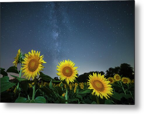 Ryan Heffron Metal Print featuring the photograph Sunflower Galaxy v by Ryan Heffron