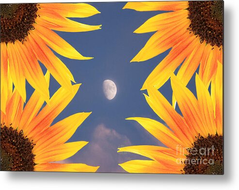 Sunflower Metal Print featuring the photograph Sunflower Moon by James BO Insogna