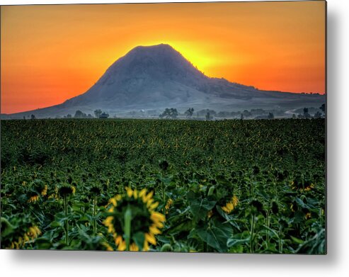 Sunrise Metal Print featuring the photograph Sunflower Sunrise by Fiskr Larsen