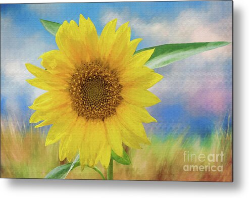 Sunflower Metal Print featuring the photograph Sunflower Surprise by Bonnie Barry
