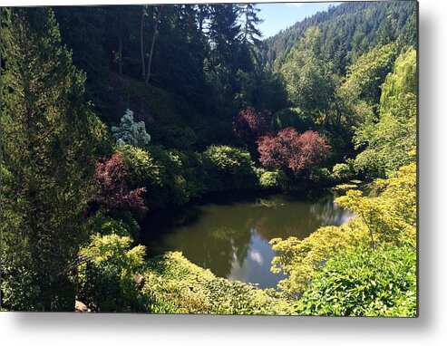 Sunken Lake Metal Print featuring the photograph Sunken Lake Butchart Garden by Portraits By NC