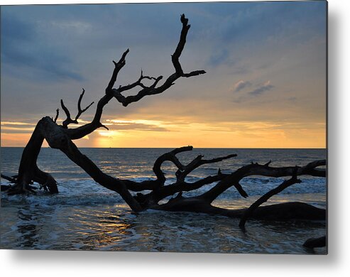 Sunrise Metal Print featuring the photograph Sunrise at Driftwood Beach 1.2 by Bruce Gourley