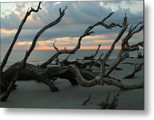Sunrise Metal Print featuring the photograph Sunrise at Driftwood Beach 4.1 by Bruce Gourley