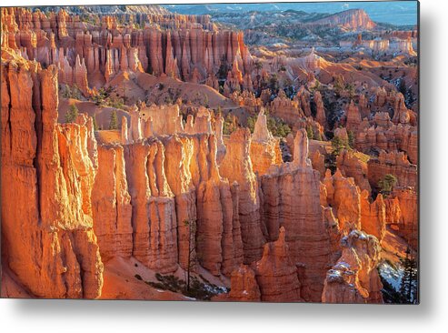 Bryce Canyon National Park Metal Print featuring the photograph Sunrise at Sunset Point by Jonathan Nguyen