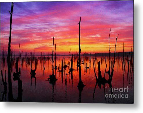 Sunrise Metal Print featuring the photograph Sunrise awaits by Roger Becker