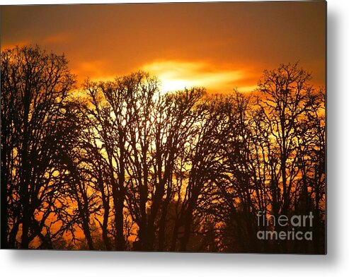 Sunrise Metal Print featuring the digital art Sunrise Forest Silhouette by Nick Gustafson