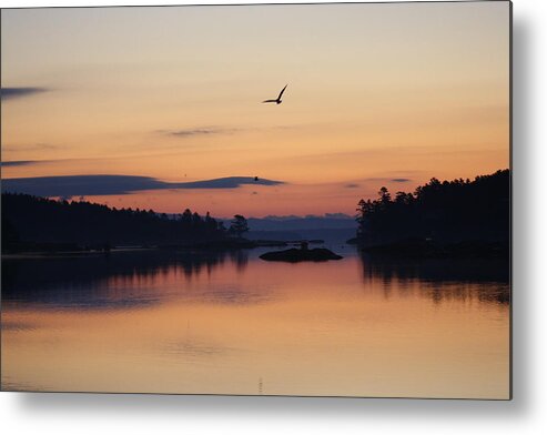 Sunrise Metal Print featuring the photograph Sunrise in Blue Hill V by Greg DeBeck