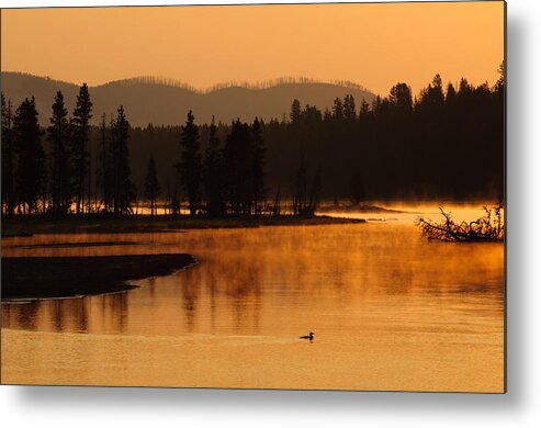 Yellowstone Metal Print featuring the photograph Sunrise Near Fishing Bridge in Yellowstone by Bruce Gourley