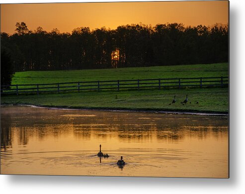 Sunrise Metal Print featuring the photograph Sunrise on a Gettysburg Duck Pond by Bill Cannon