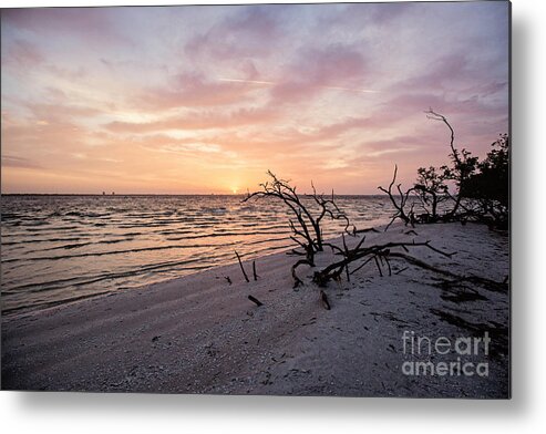 Travel Metal Print featuring the photograph Sunrise Over San Carlos Bay by Scott Pellegrin