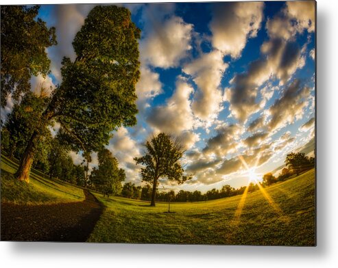 Buffalo Sunrise Metal Print featuring the photograph Sunrise Path at Meadows Edge by Chris Bordeleau