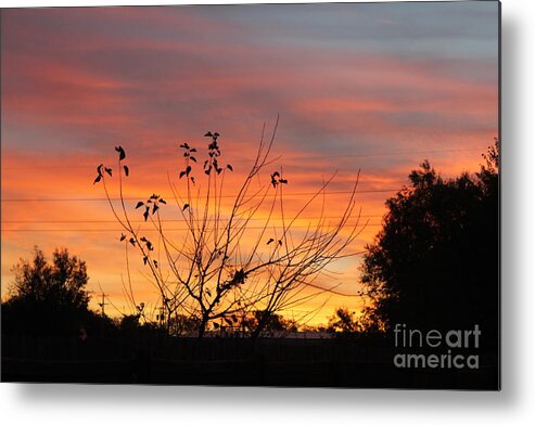 Sunrise Metal Print featuring the photograph Sunrise by Sheri Simmons
