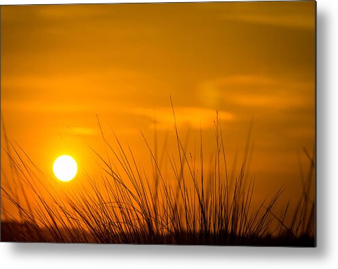 Coast Metal Print featuring the photograph Sunrise Through Frederica Marsh Reeds by Chris Bordeleau