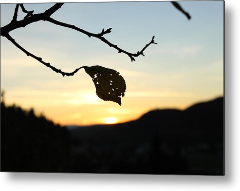 Sunset Metal Print featuring the photograph Sunset by Alena Madosova