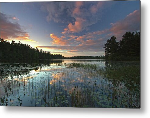 Somes Pond Metal Print featuring the photograph Sunset at Somes Pond by Juergen Roth