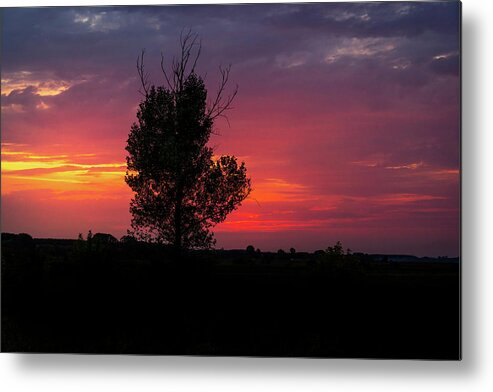 Danube Metal Print featuring the photograph Sunset at the Danube Banks by Celso Bressan