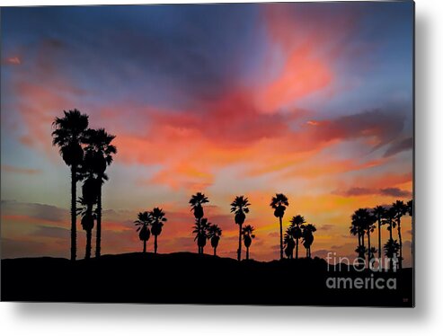 Sunset Metal Print featuring the photograph Sunset Beach by David Millenheft
