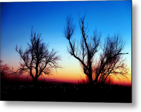 Sunset Metal Print featuring the photograph Sunset in January IV by Toni Hopper
