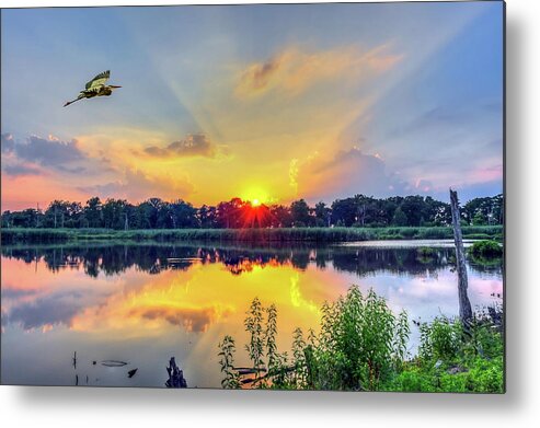Animal Metal Print featuring the photograph Sunset on a Chesapeake Bay pond by Patrick Wolf