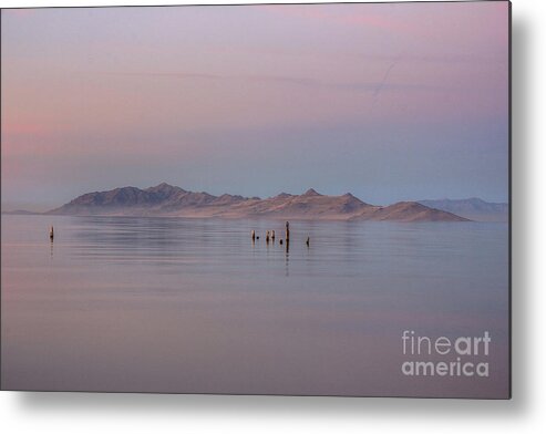 Sunset Metal Print featuring the photograph Sunset on Antelope Island by Spencer Baugh