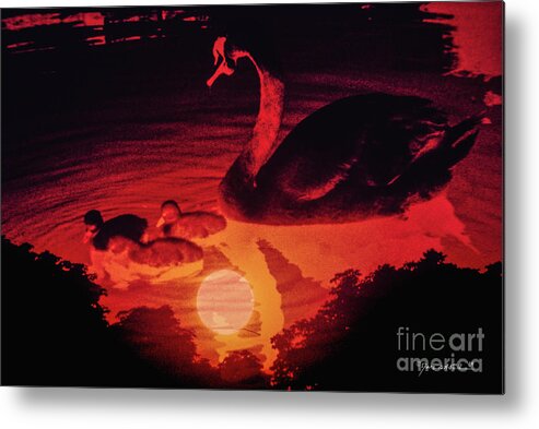 Marc Nader Photo Art Metal Print featuring the photograph Sunset On Swan Lake, 1969 by Marc Nader