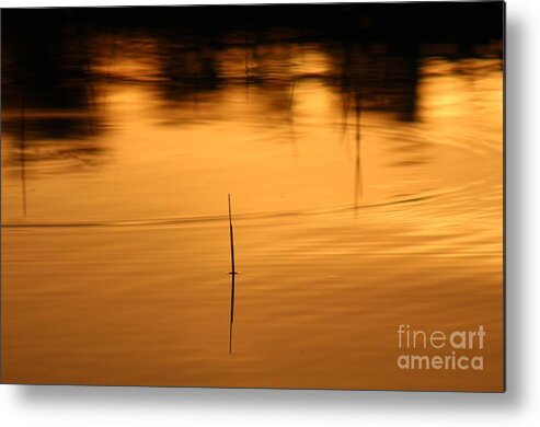 Sunset Metal Print featuring the photograph Sunset on the water 2 by Deena Withycombe