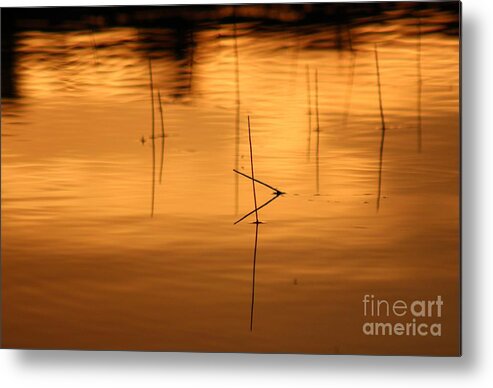 Sunset Metal Print featuring the photograph Sunset on the water by Deena Withycombe