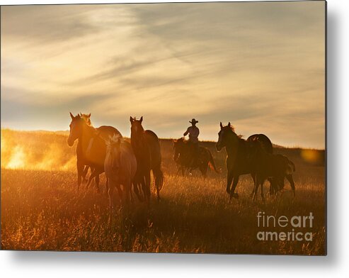 Terri Cage Photography Metal Print featuring the photograph Sunset Roundup by Terri Cage