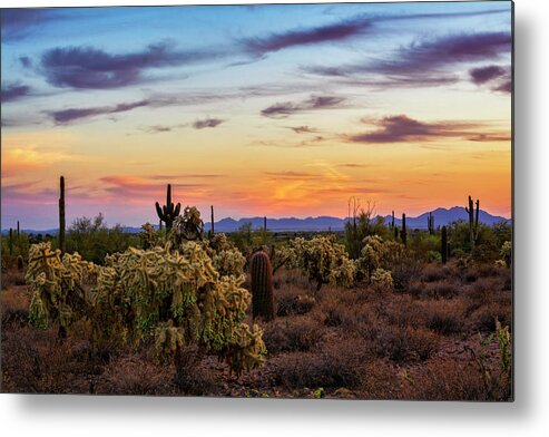 Saguaro Sunset Metal Print featuring the photograph Sunset Sweet Sunset by Saija Lehtonen