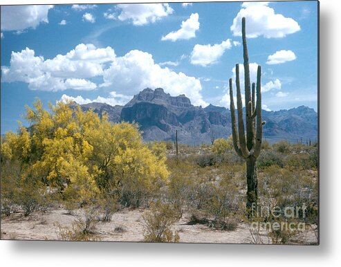 Superstition Mountains Metal Print featuring the photograph Superstition Mountains by Photo Researchers, Inc.