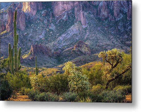 Superstition Mountains Metal Print featuring the photograph Superstitions Cactus by Dave Dilli