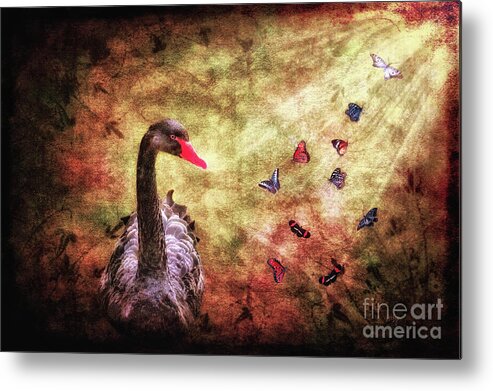 Swan Metal Print featuring the photograph Surprises by Lois Bryan