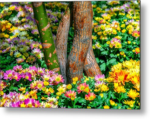 Spring Flowers Metal Print featuring the photograph Surrounded by Az Jackson