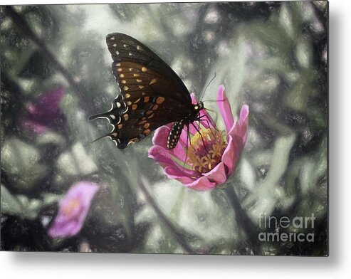 Nature Metal Print featuring the photograph Swallowtail In A Fairytale by Sharon McConnell