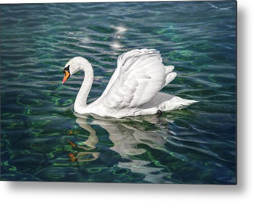 Swan Metal Print featuring the photograph Swan on Lake Geneva Switzerland by Carol Japp