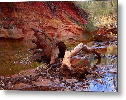River Metal Print featuring the photograph Swept away by James Smullins