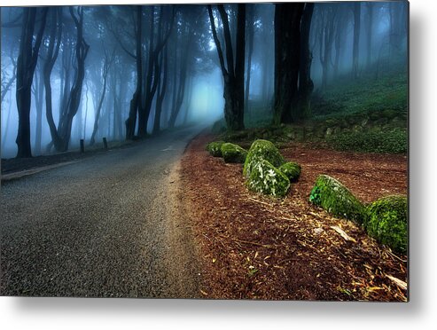  Metal Print featuring the photograph Take the journey by Jorge Maia