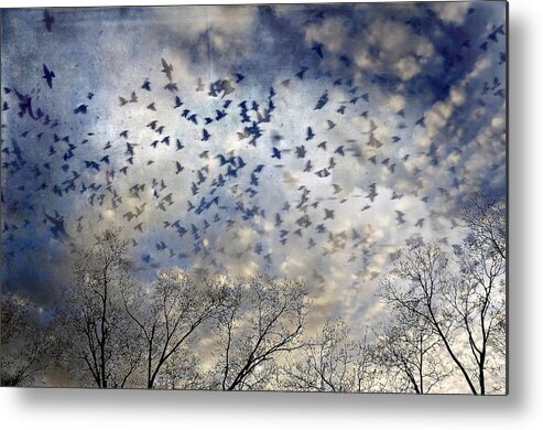 Skyscapes Metal Print featuring the photograph Taken Flight by Jan Amiss Photography