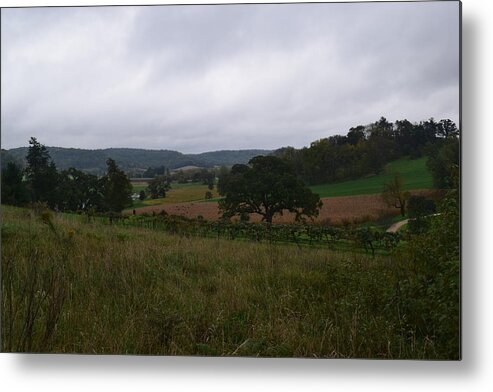 Frank Metal Print featuring the photograph Taliesin Hills by Curtis Krusie