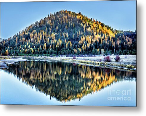 Cougar Mountain Lodge Metal Print featuring the photograph Tamarack Glow Idaho Landscape Art by Kaylyn Franks by Kaylyn Franks