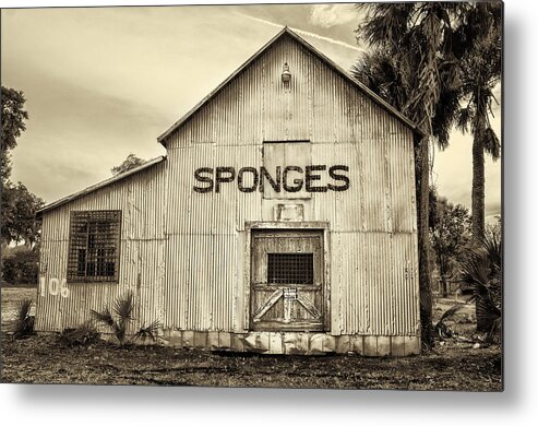 Tarpon Metal Print featuring the photograph Tarpon Springs Sponges by Bill Cannon